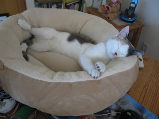 Comfortable Gretel