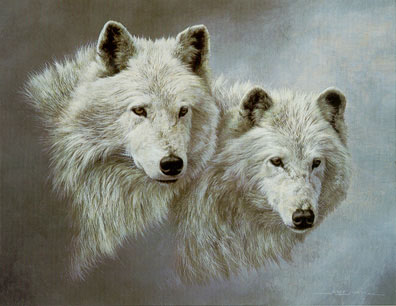 [lupi+bianchi.jpg]
