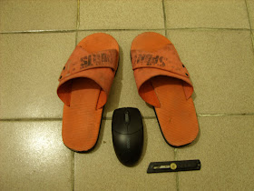 handicapped slippers