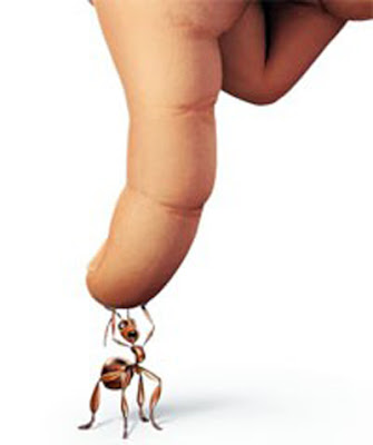 http://4.bp.blogspot.com/_FCBx7TYCnYA/TBlox_hlztI/AAAAAAAAADQ/BIgP7gv0QaY/s1600/the_ant_bully.jpg