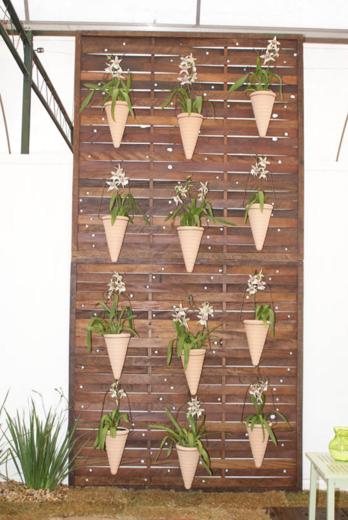 jardim vertical no muro:Este está no muro do quintal, mas pode ser perfeitamente adaptado jardim vertical no muro:Este está no muro do quintal, mas pode ser perfeitamente adaptado