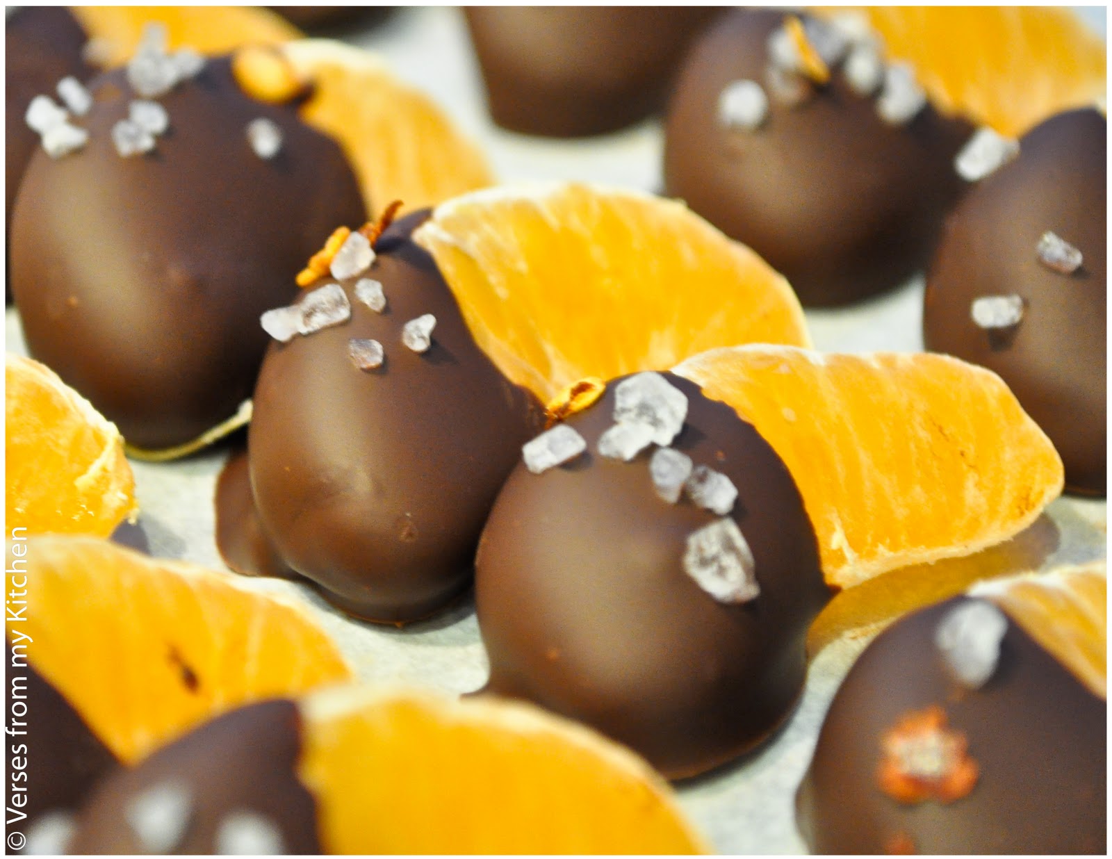 posted by Michael Lewicki 1100 AM 29 Comments