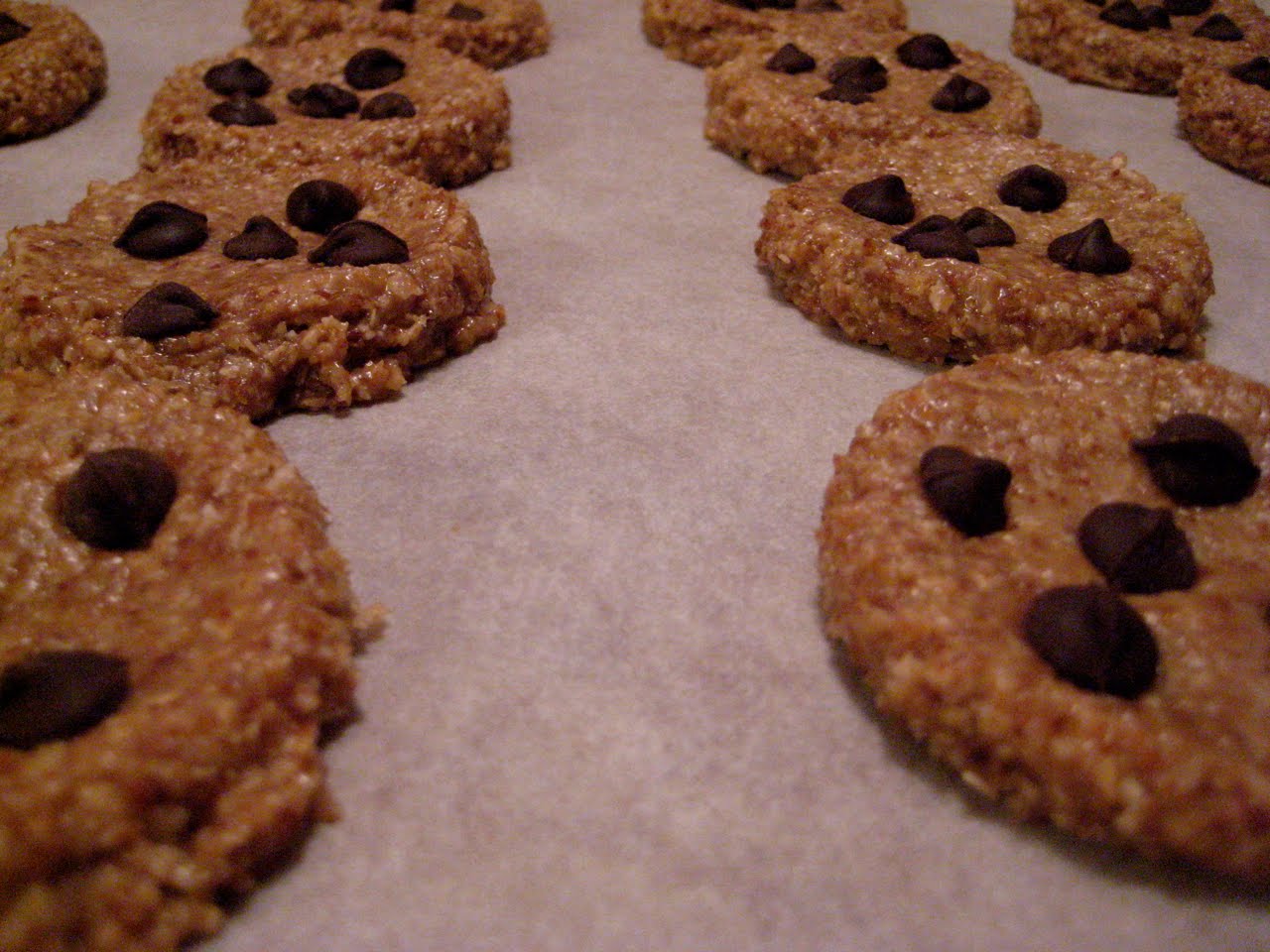 Nicole's Raw Vegan Oat Flax Cookies The Fitness Freak