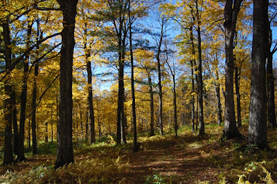 Vermont Hiking