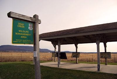 Dead Creek Wildlife Management Area