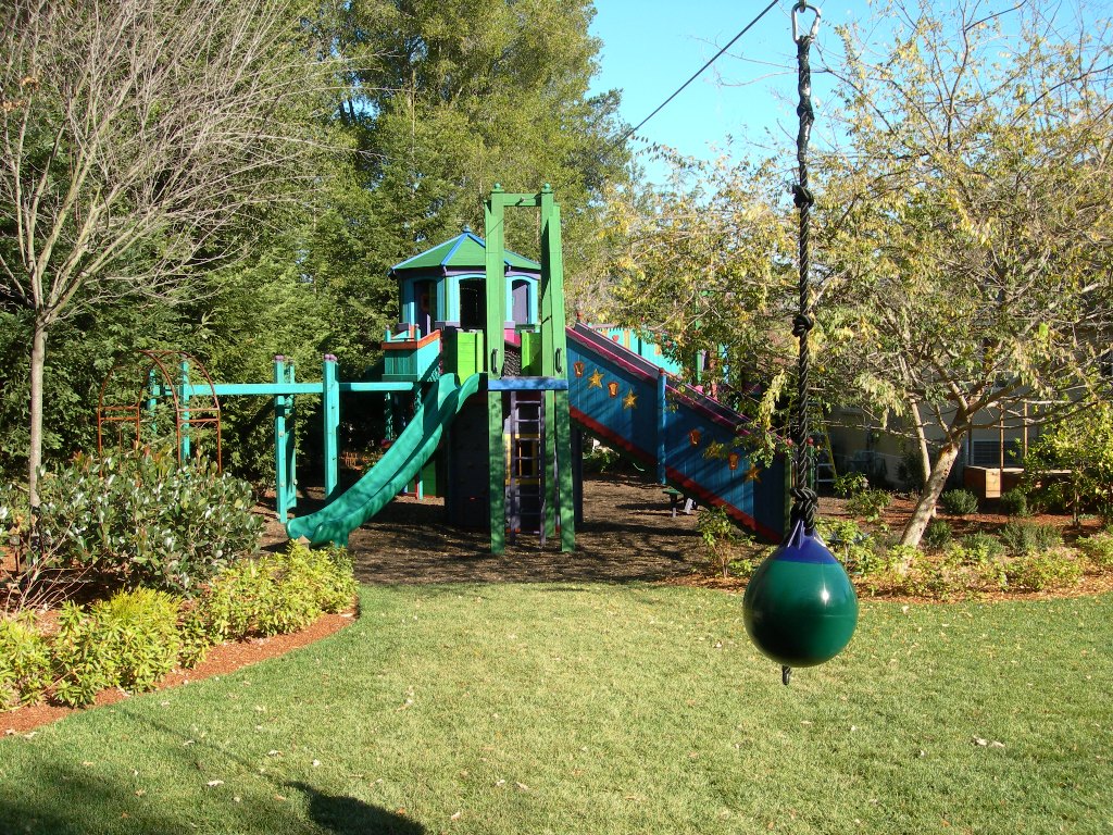 freestanding+zipline1.x.JPG (image)