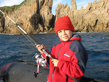 El blog de los patos