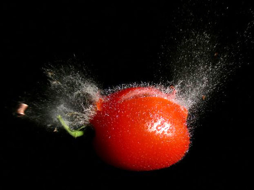 [663117503_8d21dd085f.jpg]