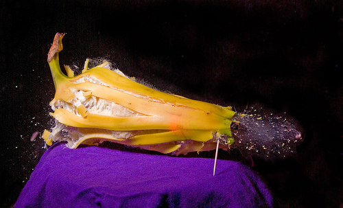 [663874041_f83c8bce05.jpg]