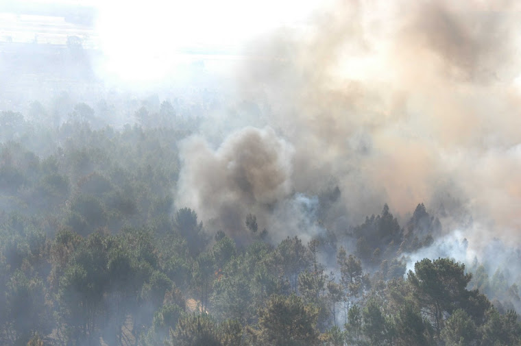 VOLAMOS SOBRE EL FUEGO