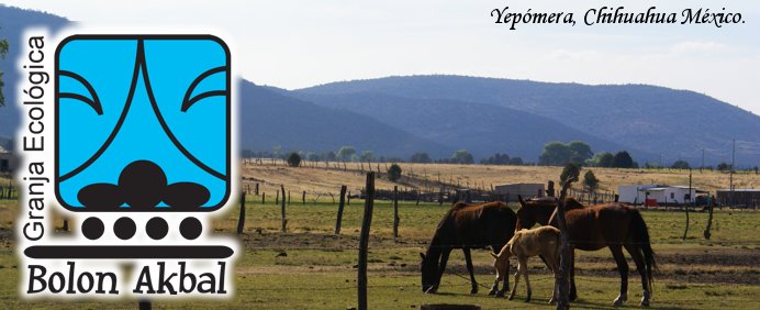 Granja Ecológica Bolon Akbal