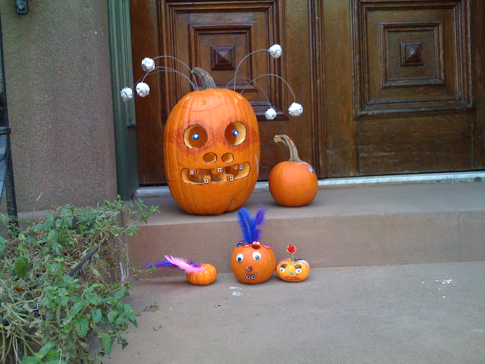 paper oranges: October 2010