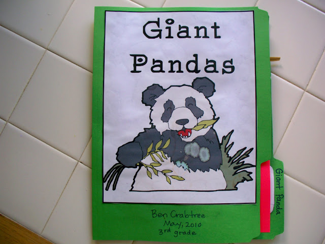 giant panda classification