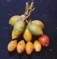 buah pinang