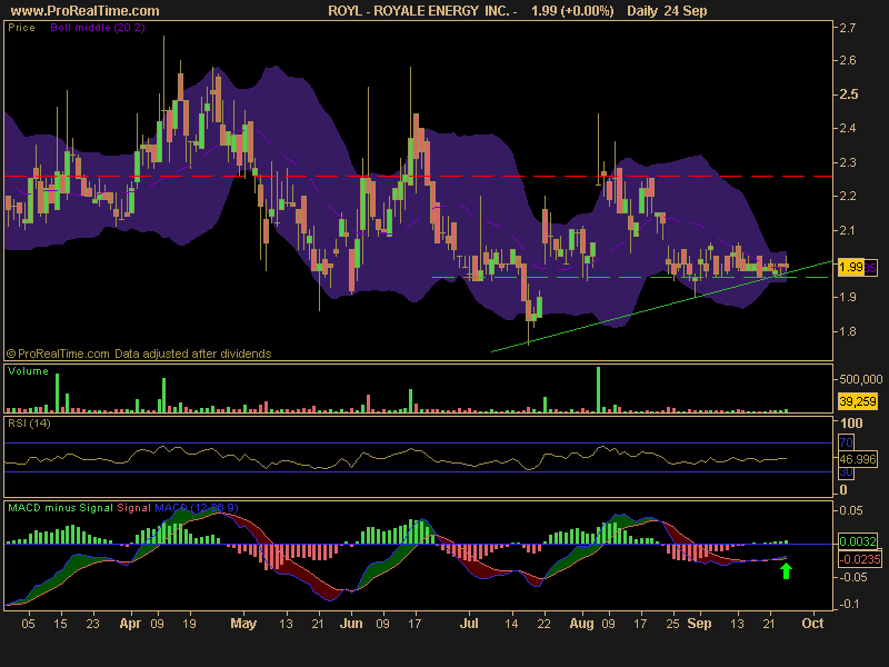 Royale Energy, Inc.