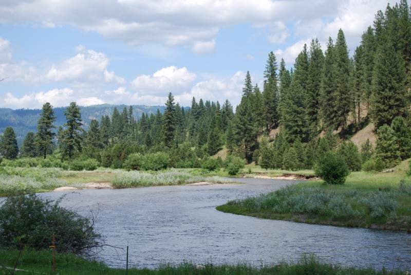 [232323232 fp536;2_nu=435;_592_252_WSNRCG=325;72_63;343nu0mrj[1].jpg]