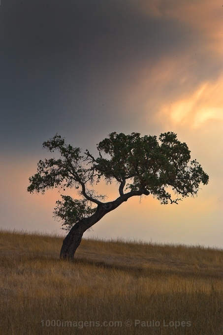 [burning_1000imagens.aspx]