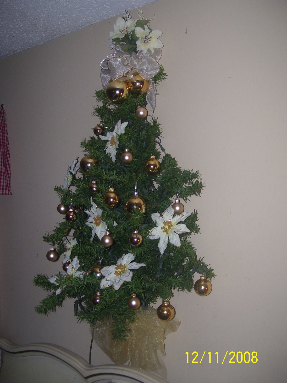 [December+08+043.JPG]