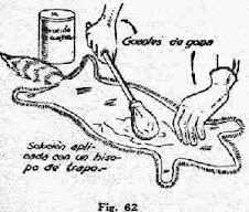 Productos procesados hecho con Tara en Polvo