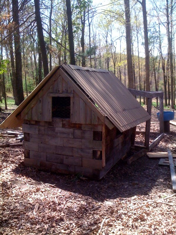 Ramblings by MWT Redneck chicken coop