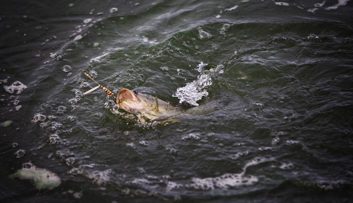 [pesca2.jpg]