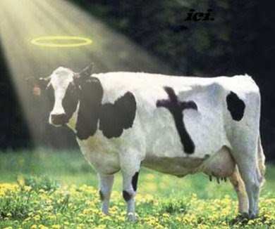 uploaded_holy-cow.jpg