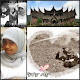 Foto saya