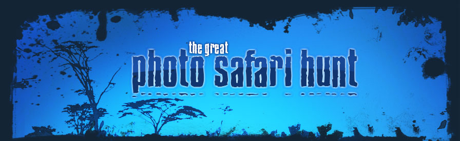 The Great Photo Safari Hunt