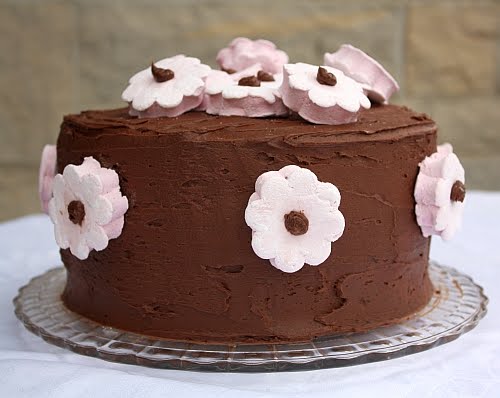 Chocolate+Cake.jpg
