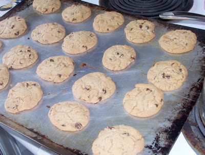 cookies2.JPG