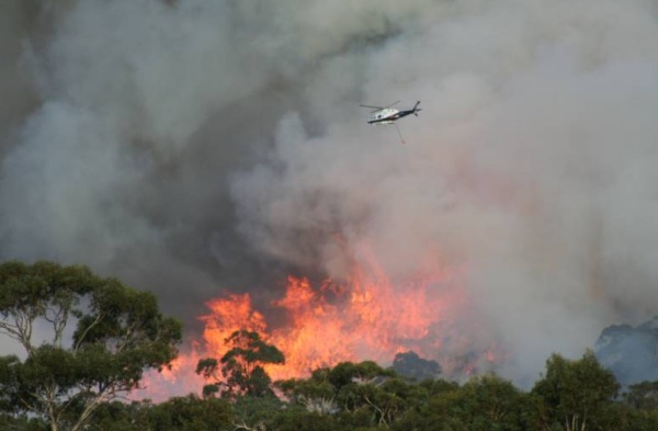 Mount Bold Reservoir