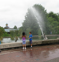 Beating the heat at St. Louis Zoo