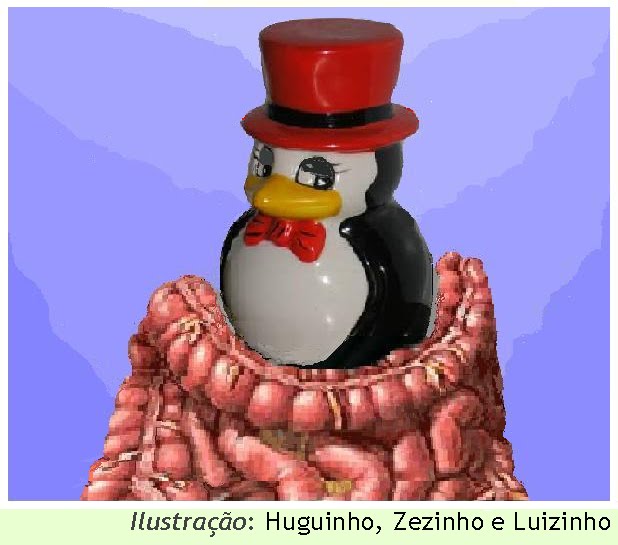 [ping_geladeira2.bmp]
