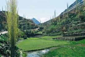 nagar valley gilgit pk