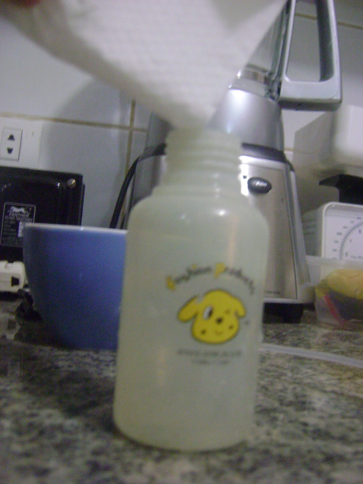 Diary of a Cheapoholic DIY Tawas Deodorant Spray