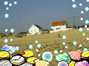 [Praia2.jpg]