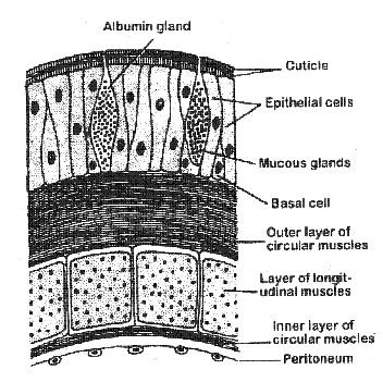 earthworm part 1 pass science solutions earthworm part 1 pass science solutions earthworm part 1 pass science solutions earthworm part 1 pass science solutions