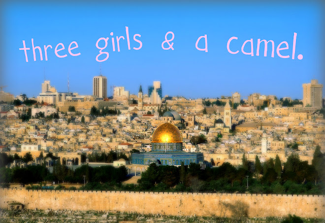 three girls & a camel
