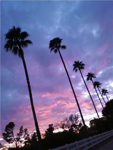 [SDplit+Pea+soup+sunset.jpg]