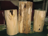 3 Agarwood Logs