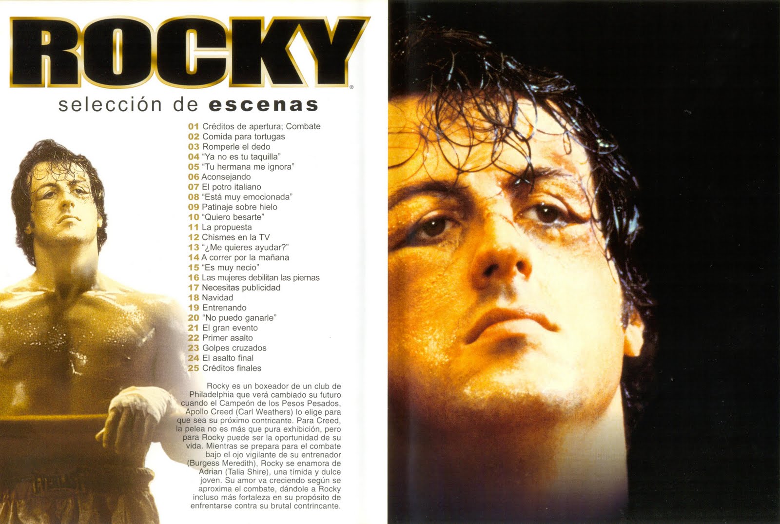 http://4.bp.blogspot.com/_FN7dlH54yBQ/TB8RnxTb65I/AAAAAAAADL4/KrSWrxbuJEQ/s1600/Rocky%20Inlay.jpg