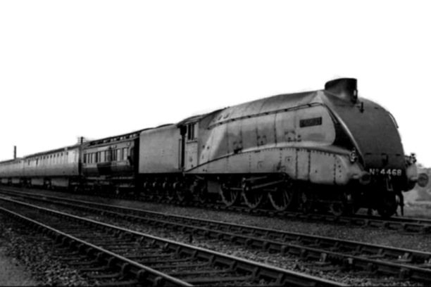 [mallard.jpg]