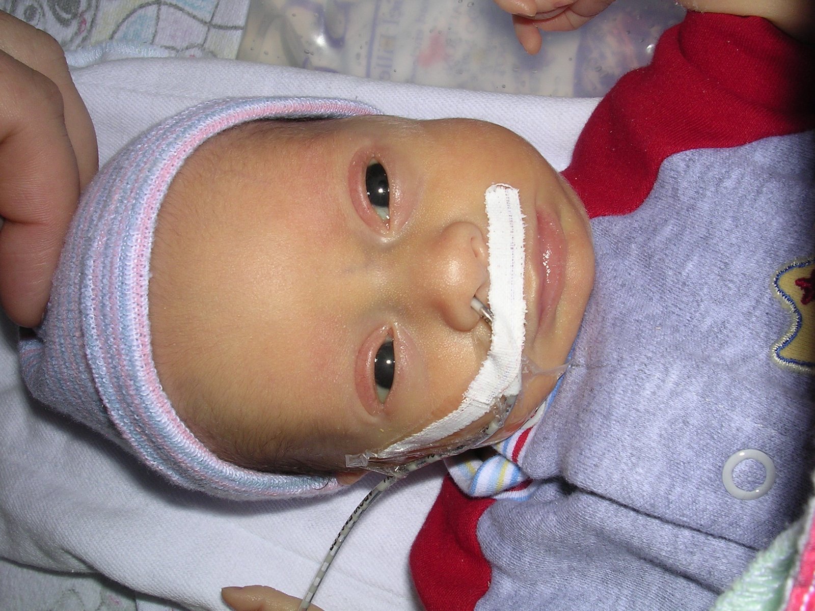 [DSCN1855.JPG]