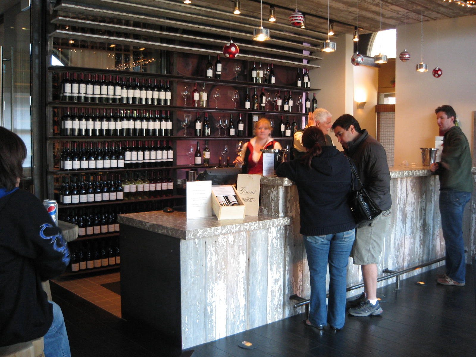 June 2009 ECO ADVENTURER