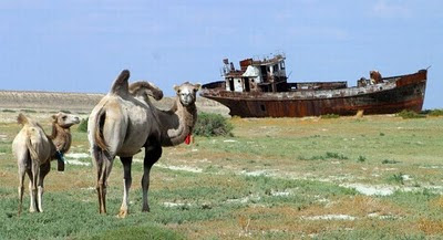 Gambar Laut Ke 4 Terbesar Dunia Yang Telah Hilang Tahun 2008 Aral Sea+ 09 788332 Gambar Laut Ke 4 Terbesar Dunia Yang Telah Hilang Tahun 2008