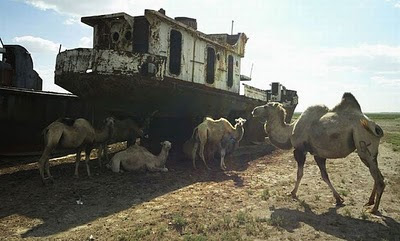 Gambar Laut Ke 4 Terbesar Dunia Yang Telah Hilang Tahun 2008 Aral Sea+ 11 789642 Gambar Laut Ke 4 Terbesar Dunia Yang Telah Hilang Tahun 2008