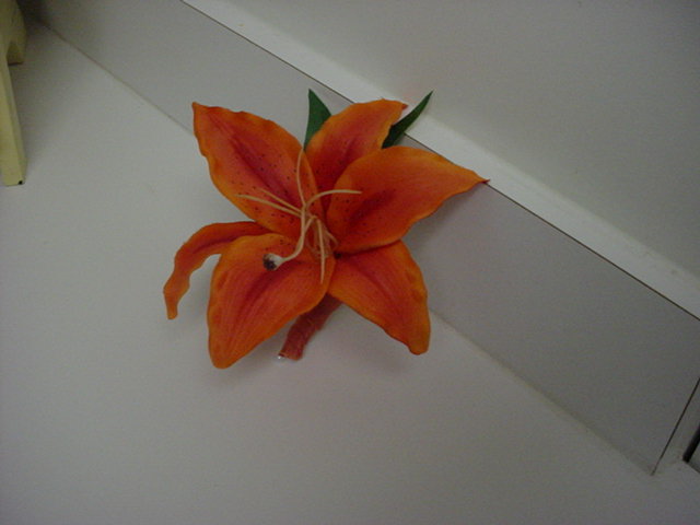 orange lily boutonniere
