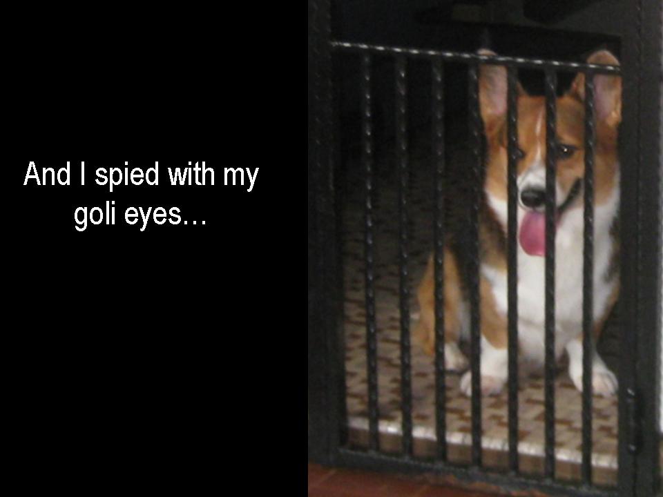 [Slide5.JPG]