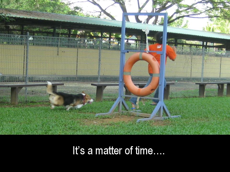 [Slide34.JPG]