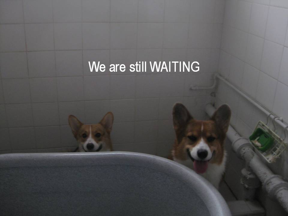 [Slide12.JPG]